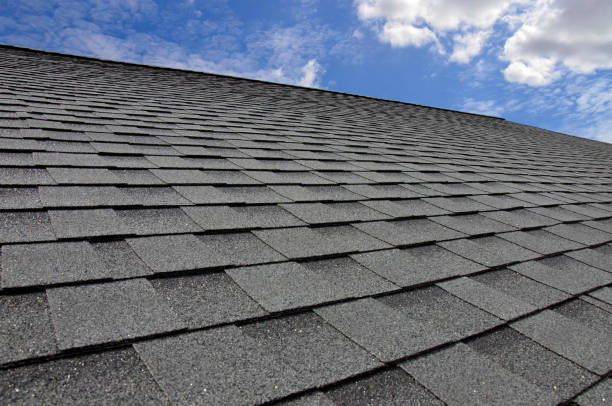 Best Roof Restoration  in Waterloo, WI